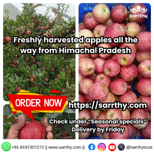 Himachal apples